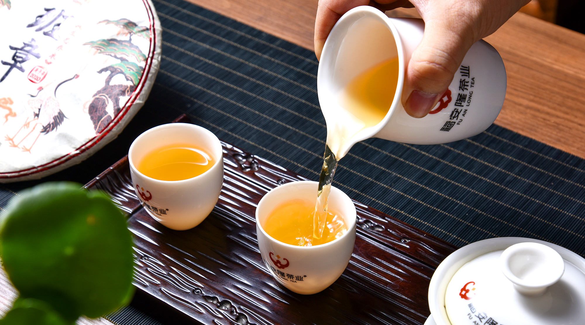 福安隆新品上市｜普洱荣光，班章为王，谱就时代华章！配图