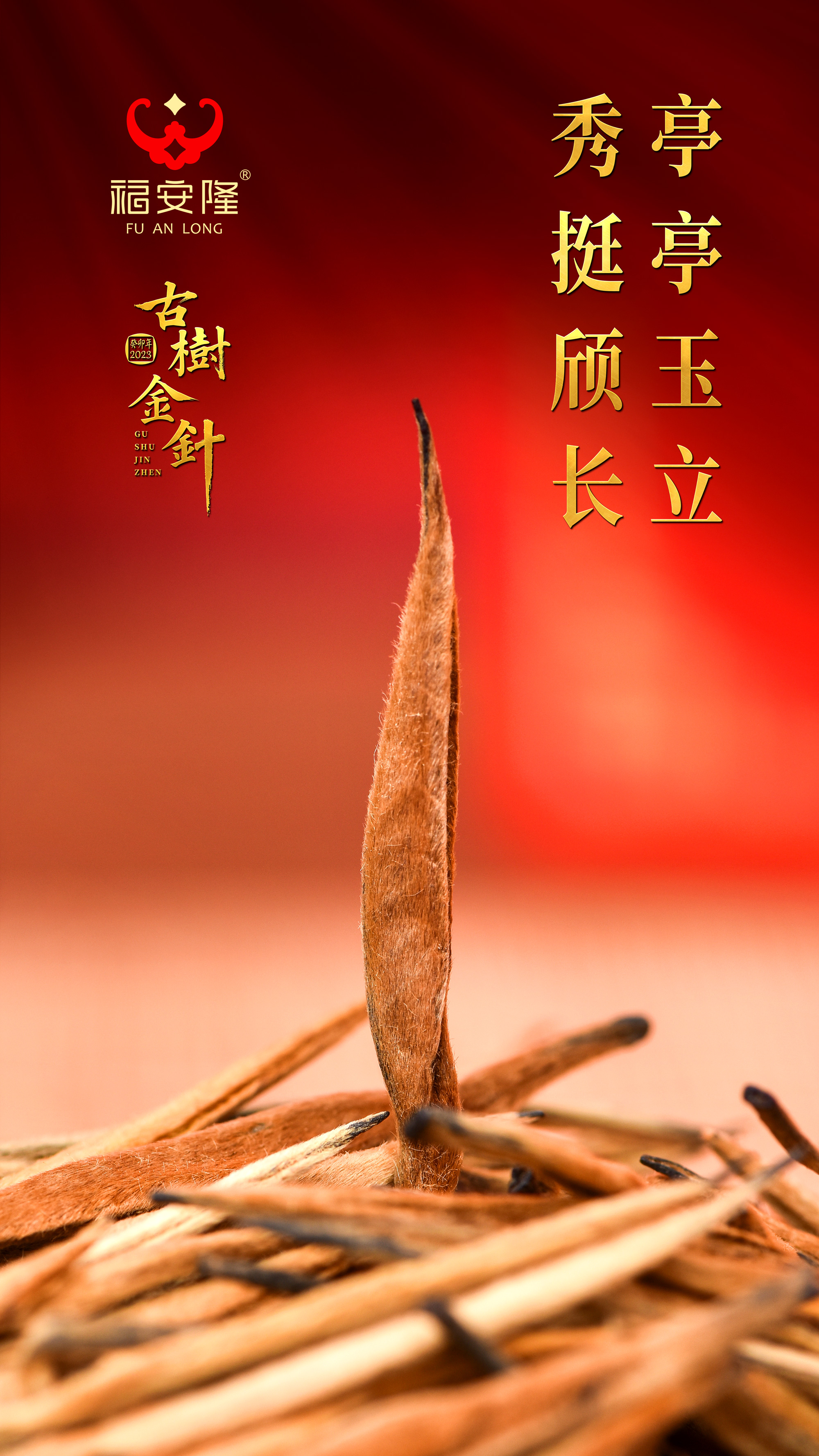 福安隆：新品上市｜古树金针，一世所珍！