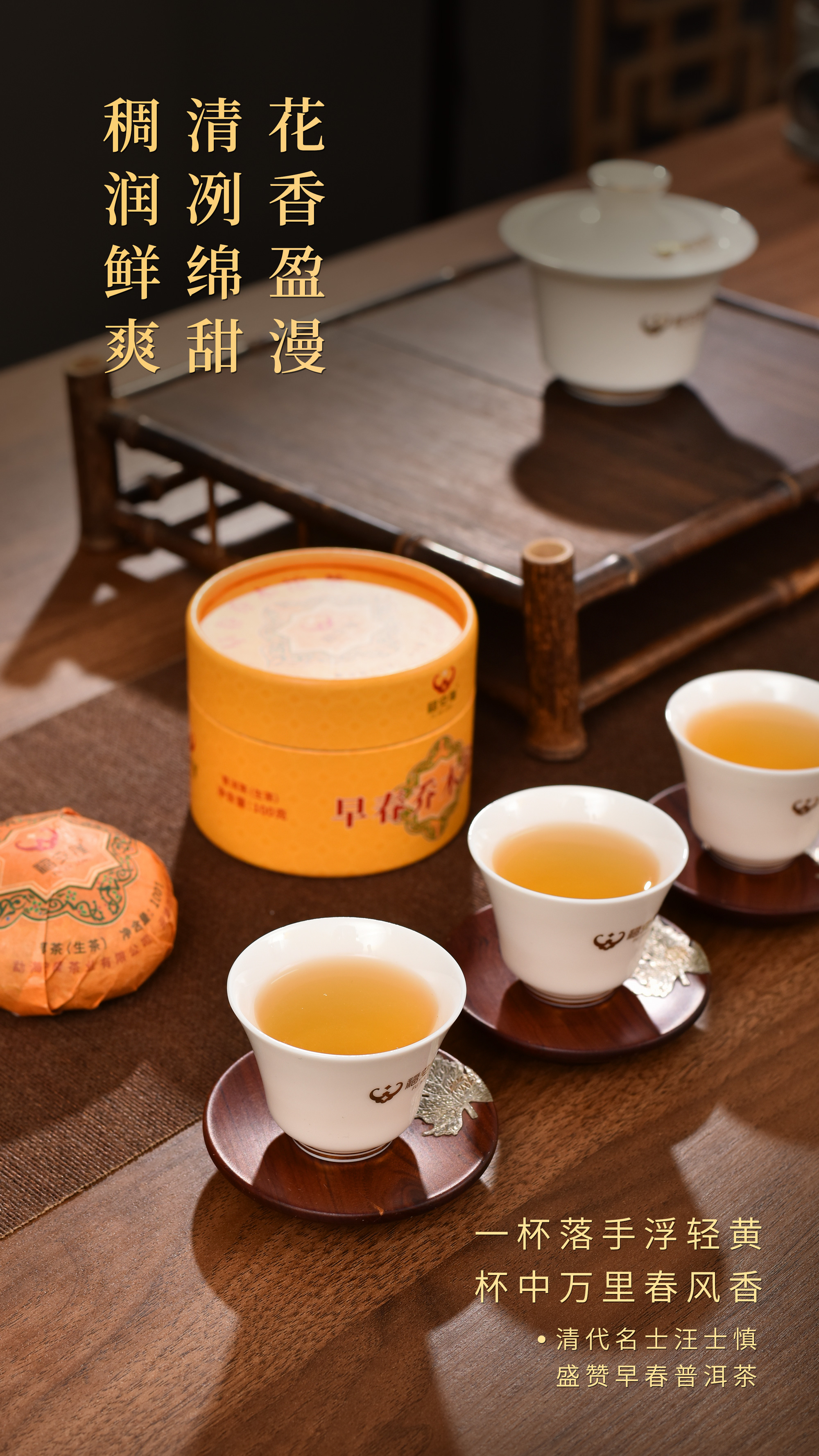 福安隆【早春乔木沱茶】上市｜春风蕴妙品，沱中展乾坤！配图